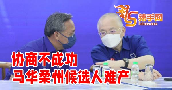 马华候选人名单难产！