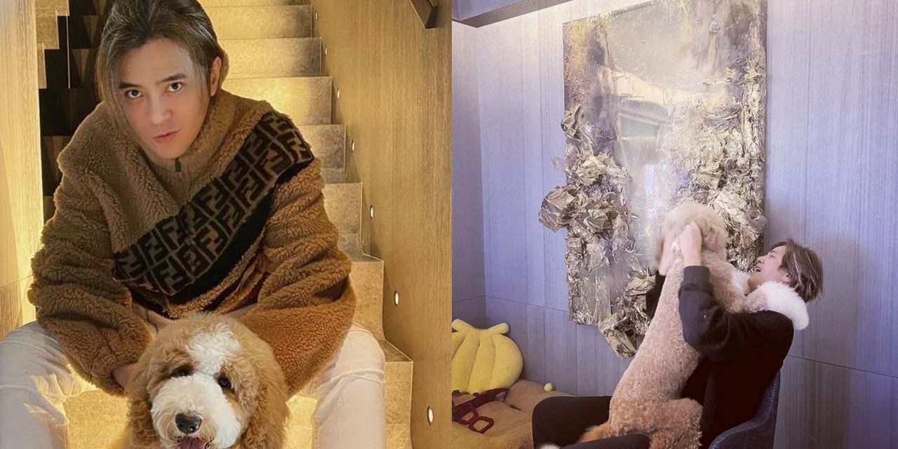 罗志祥客厅像电影院 曾闹争议顶楼曝光