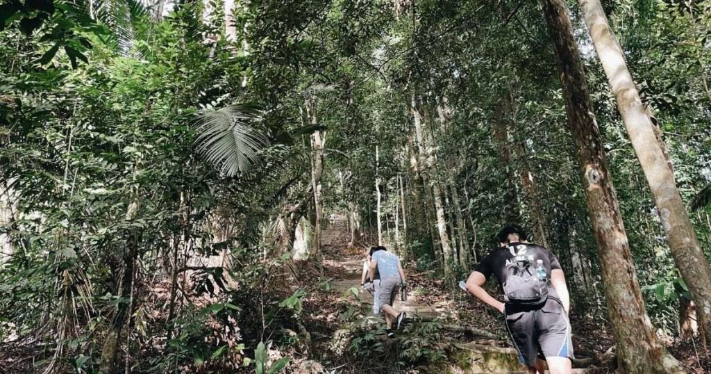 永久森林保留地暂时封山 关闭3个月至明年