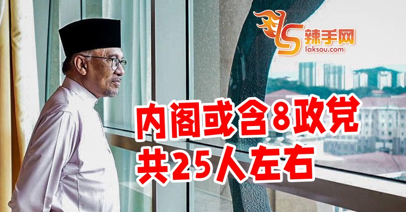内阁或含8政党共25人左右