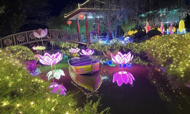 东禅寺新春平安灯会19日开始举办