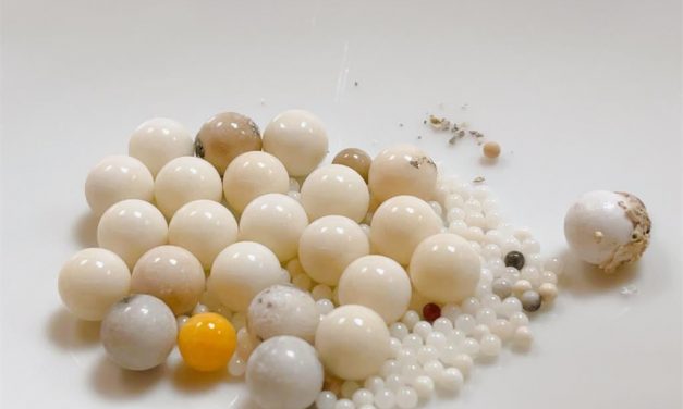 星云大师烧出舍利子 从科学分析舍利子成因