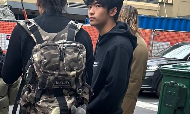 姐弟恋？谢霆锋16岁儿子女友疑恋情曝光　
