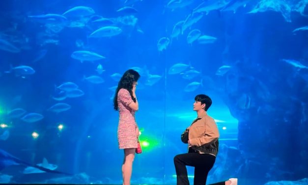 浪漫！Aquaria KLCC推出《眼泪女王》金秀贤同款求婚场景