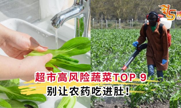 超市高风险蔬菜TOP 9 别让农药吃进肚！