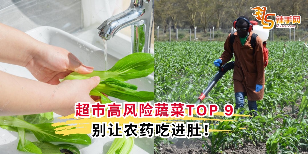 超市高风险蔬菜TOP 9 别让农药吃进肚！