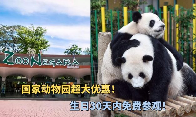 生日的寿星有福了！可以免费参观国家动物园