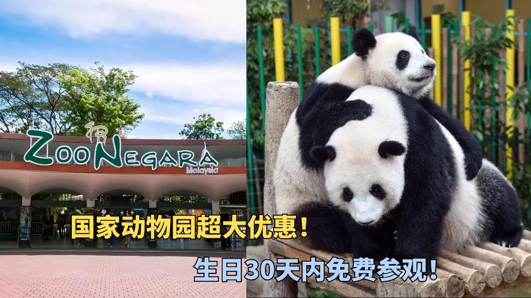 生日的寿星有福了！可以免费参观国家动物园