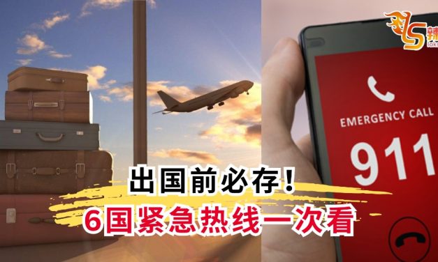 出国前必存！6国紧急热线一次看