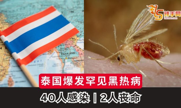 泰国爆发罕见黑热病！40人感染、2人丧命