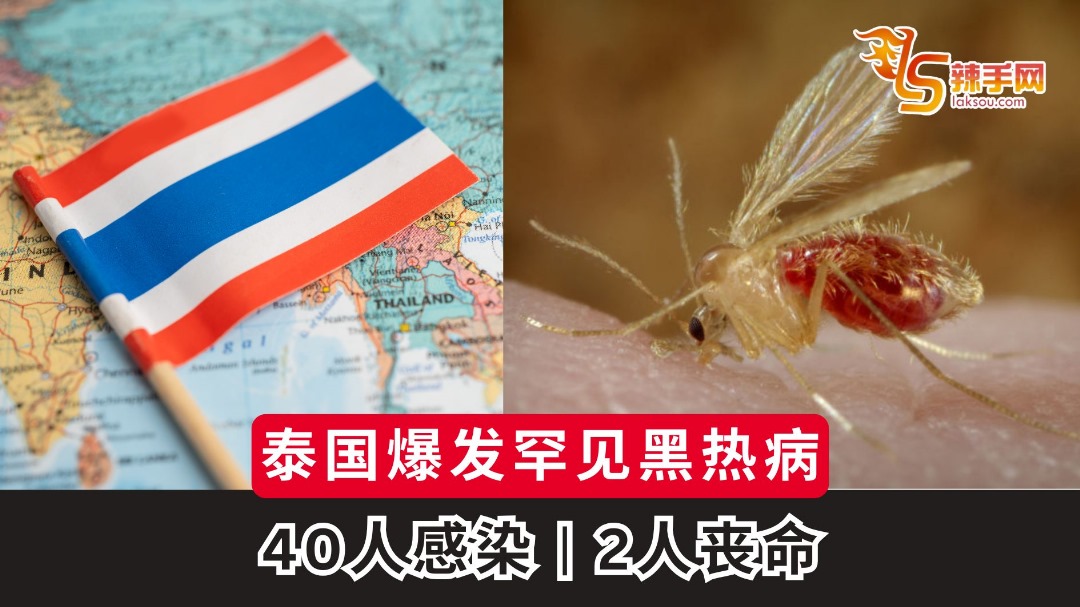 泰国爆发罕见黑热病！40人感染、2人丧命