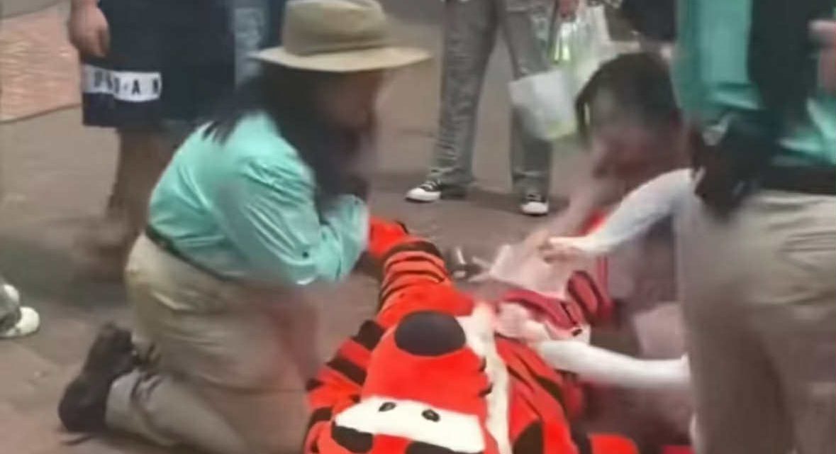 迪士尼跳跳虎中暑晕倒 全程不能脱头套惹心疼