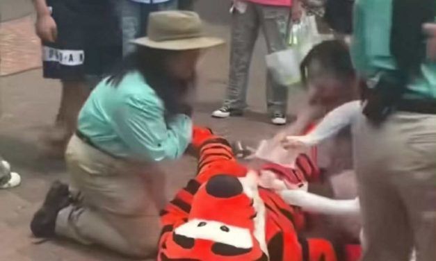 迪士尼跳跳虎中暑晕倒 全程不能脱头套惹心疼