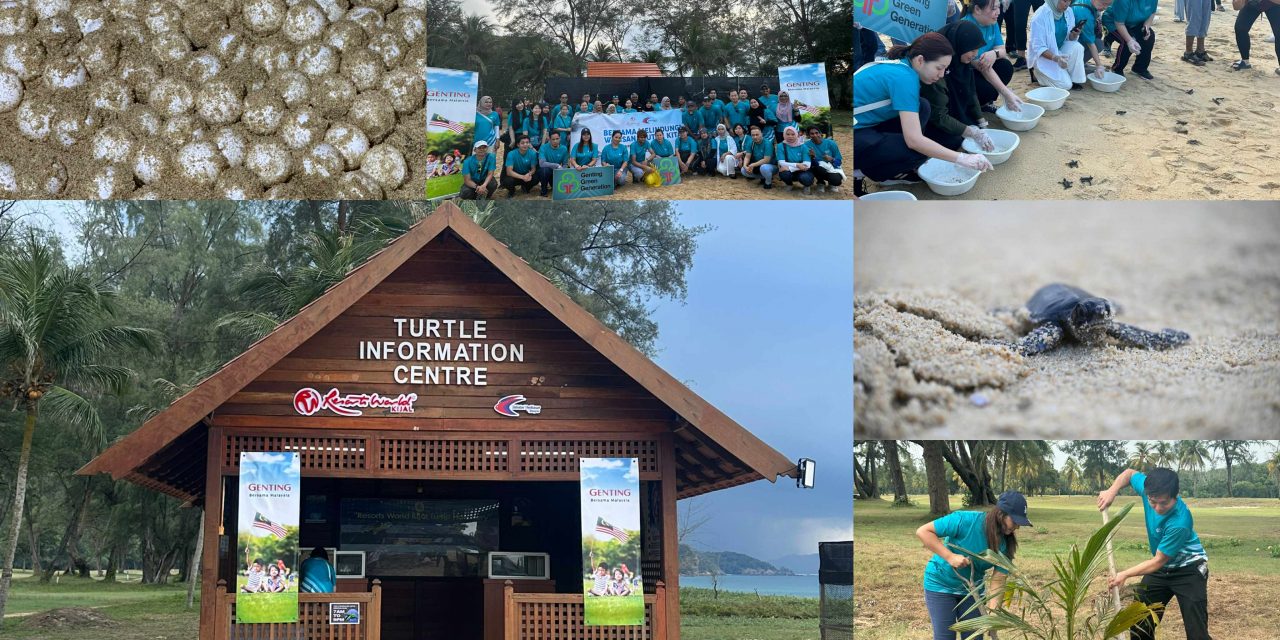云顶世界琪佳携手登嘉楼州渔业局 推动琪佳海滩海龟保育计划
