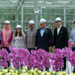 全新打卡景点 “Eufloria”与“BUNGA 2026”！云顶世界与马来西亚旅游局战略合作 推动马来西亚旅游年