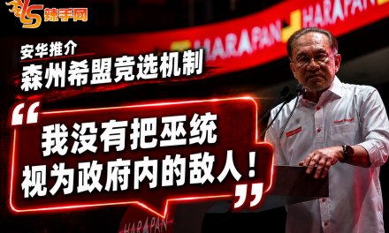 安华：不视巫统为敌人